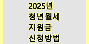 청년