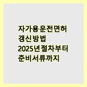 운전면허