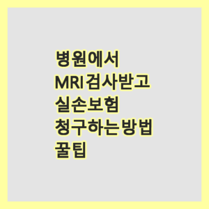 실손보험