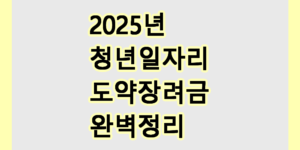 청년일자리도약장려금