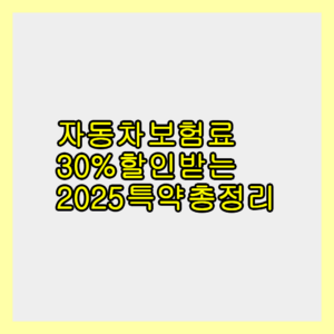 자동차보험