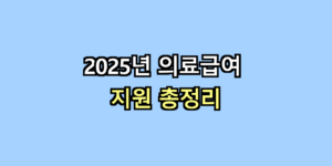 의료급여