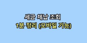 세금 체납