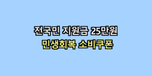 민생회복 소비쿠폰