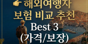 해외여행자 보험