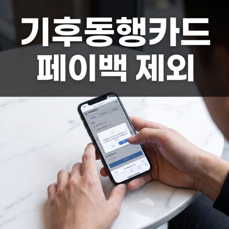 기후동행카드