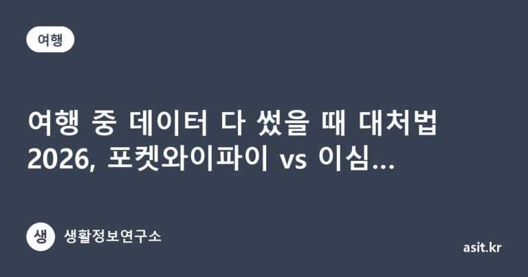 여행 중 데이터 다 썼을 때 대처법 2026, 포켓와이파이 vs 이심 추가충전 비교