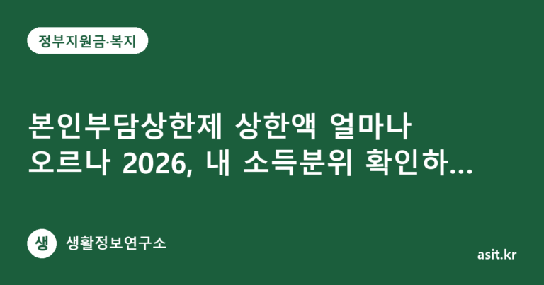 본인부담상한제 상한액 얼마나 오르나 2026, 내 소득분위 확인하는 법 3단계