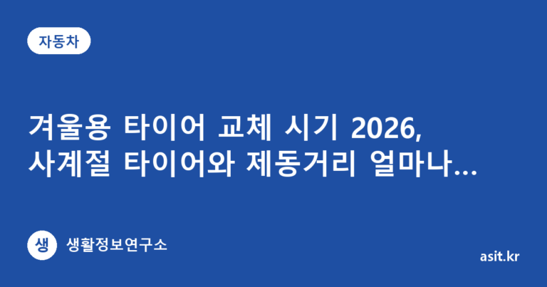 겨울용 타이어 교체 시기 2026, 사계절 타이어와 제동거리 얼마나 다를까
